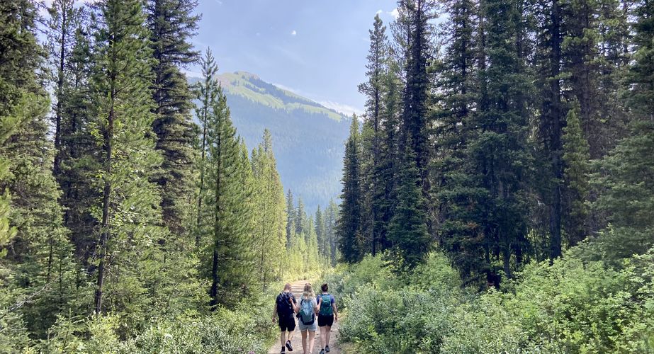 28 38 Canada 59 28 38 Canada 59